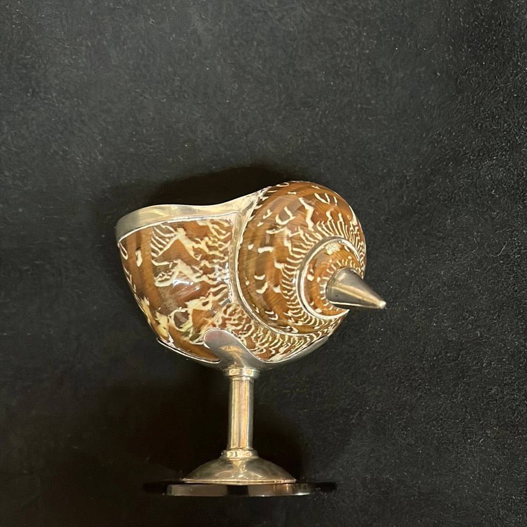 Sterling Silver Shell Salt Cellar