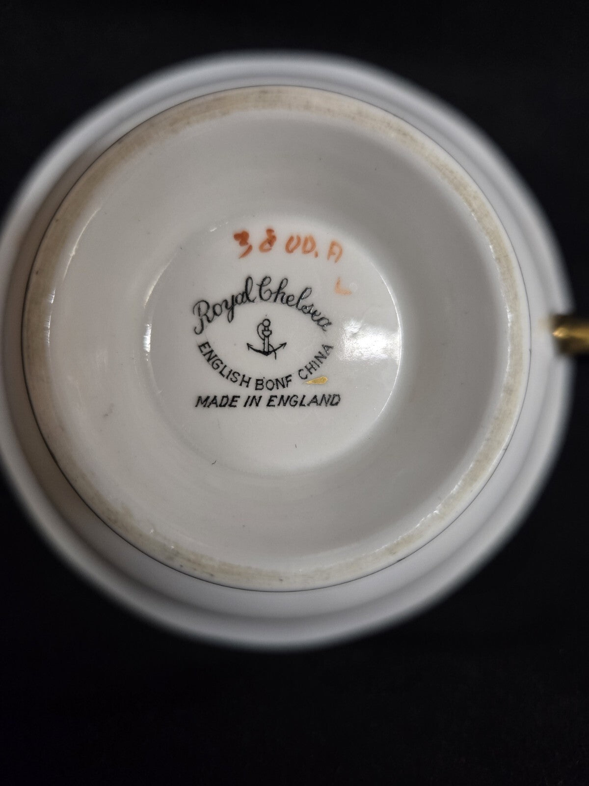Tea Cup - Royal Chelsea England Bone China Turquoise & Gold Bird of Paradise