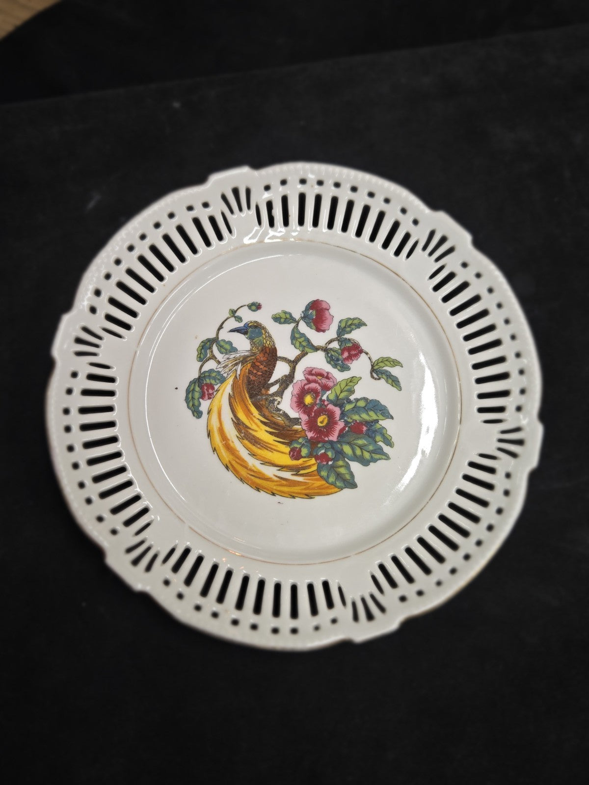 Schwarzenhammer 8 1/4" Bird of Paradise Decorative Plate Made in Germany