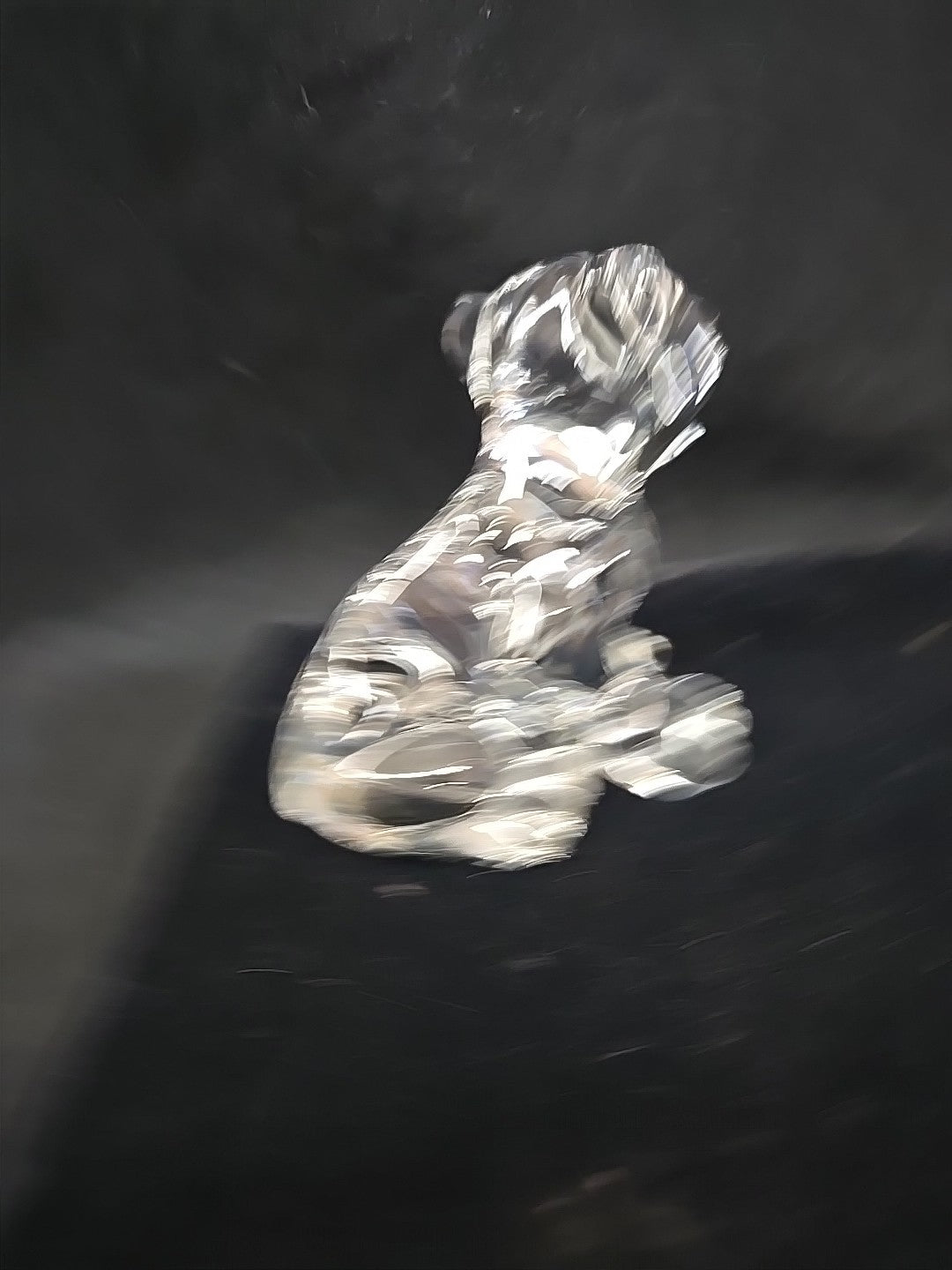 WATERFORD Lead Crystal Lion Cub  Figurine Paperweight Signed 3.25"