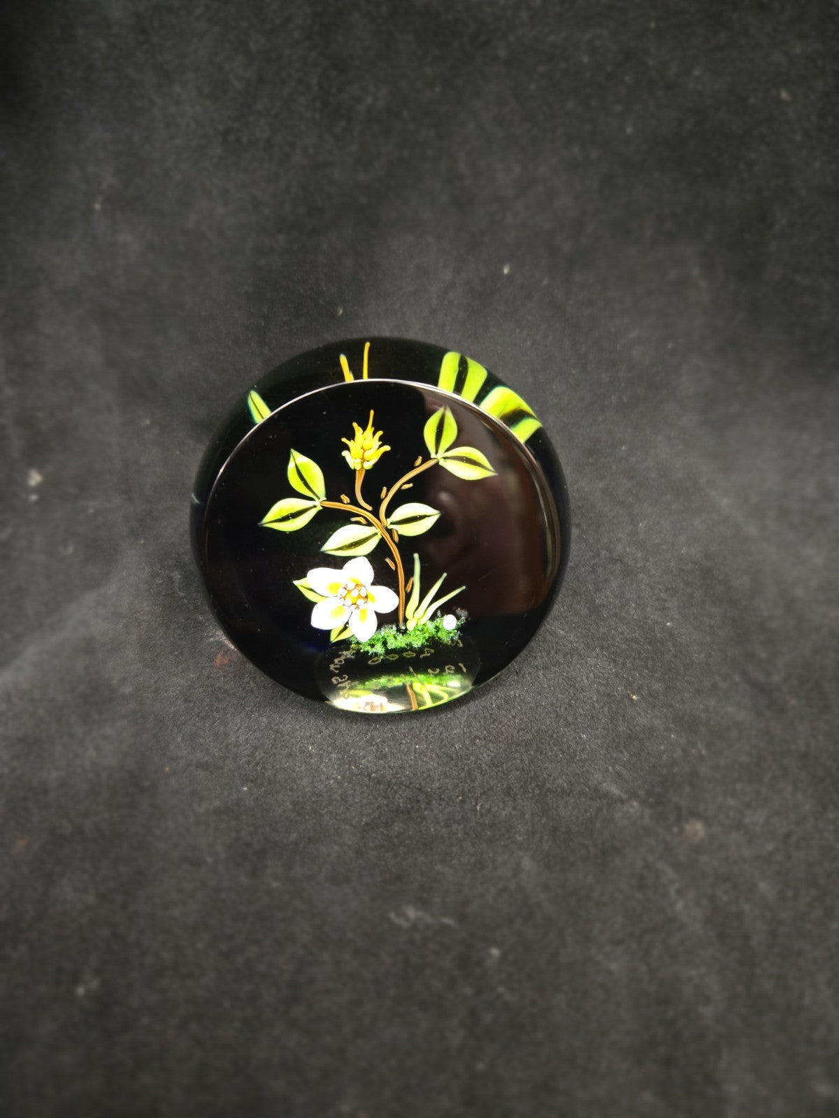 William Manson Hellebore Flower Paperweight