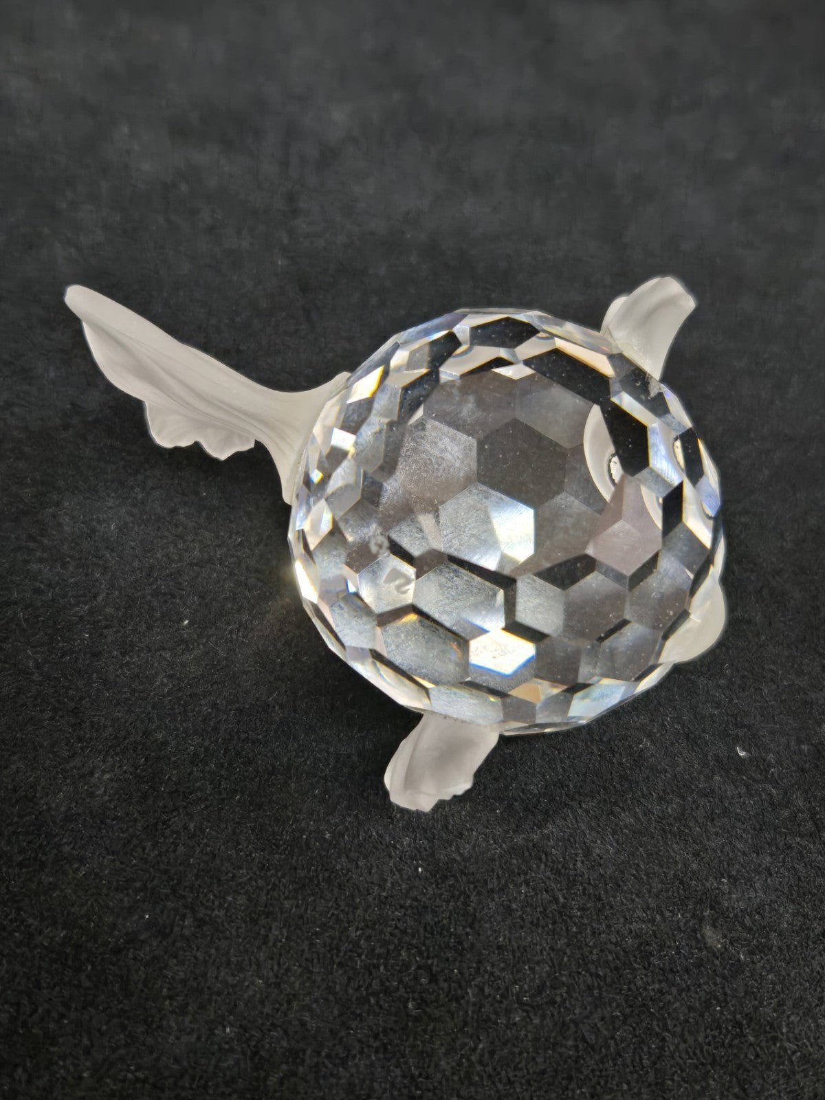 SWAROVSKI SILVER CRYSTAL BLOW PUFFER  FISH  7644 NR 041000 W/box