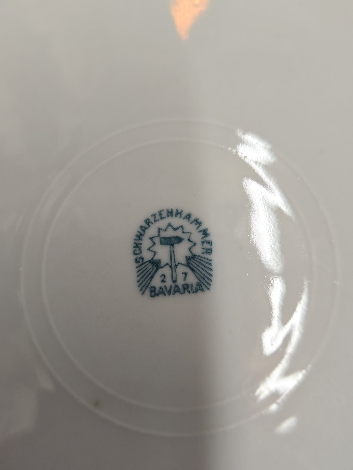 Schwarzenhammer 8 1/4" Pierced Porcelain Parrot Decorative Plate Made in Germany