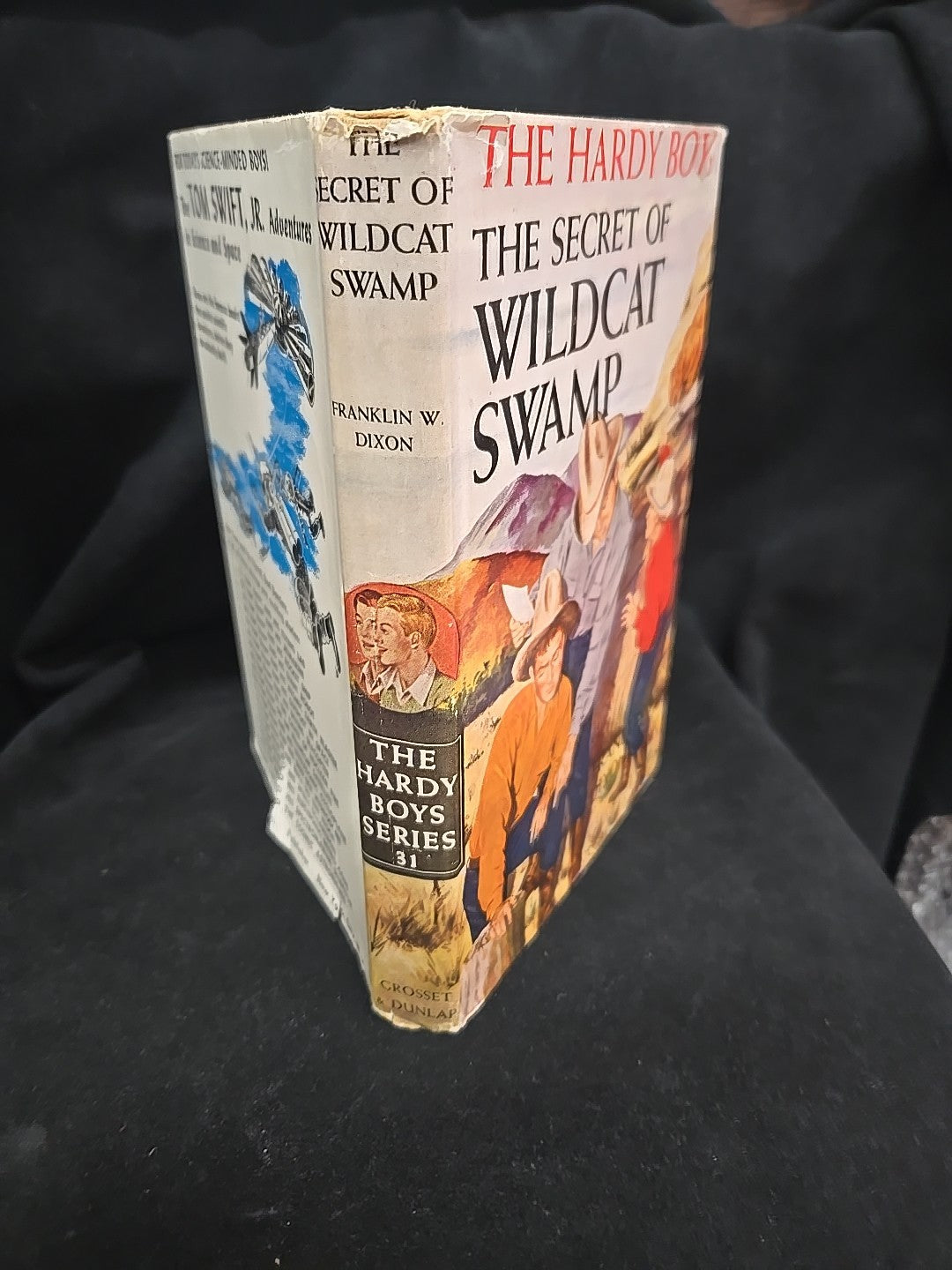 Hardy Boys - The Secret of Wildcat Swamp - Franklin W. Dixon - #31 - 1952 