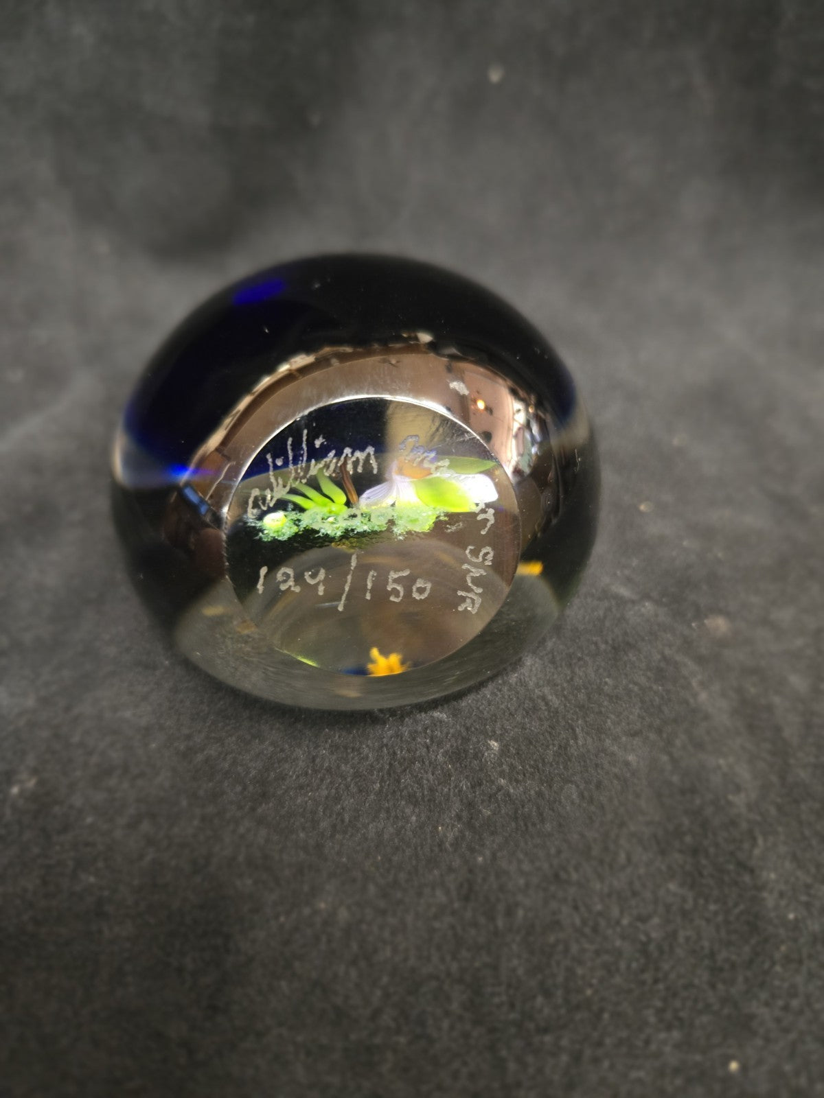 William Manson Hellebore Flower Paperweight
