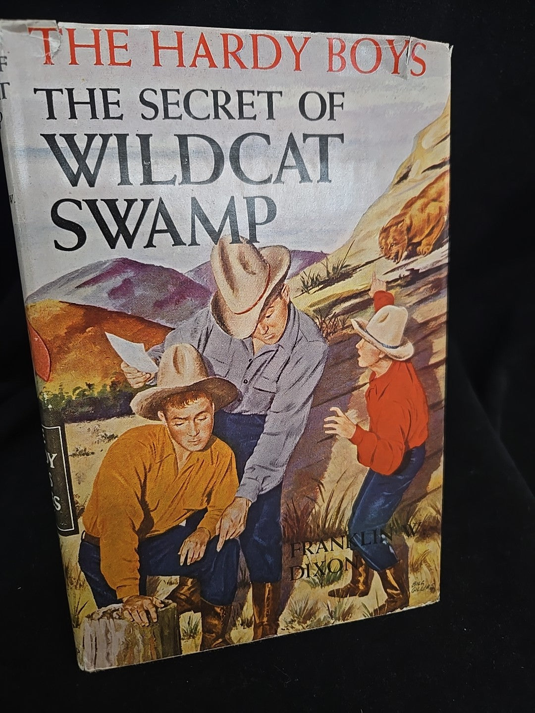 Hardy Boys - The Secret of Wildcat Swamp - Franklin W. Dixon - #31 - 1952 