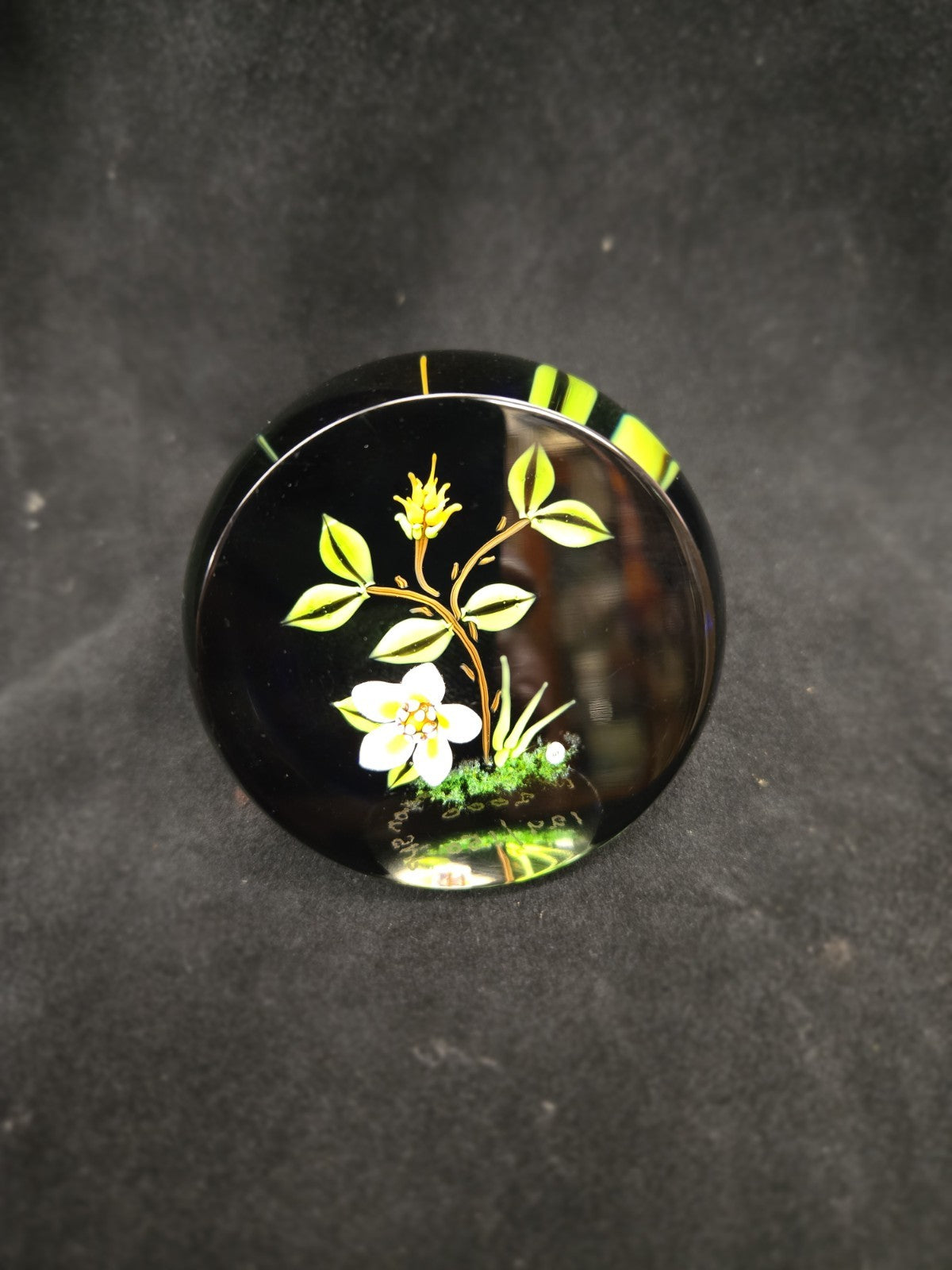 William Manson Hellebore Flower Paperweight