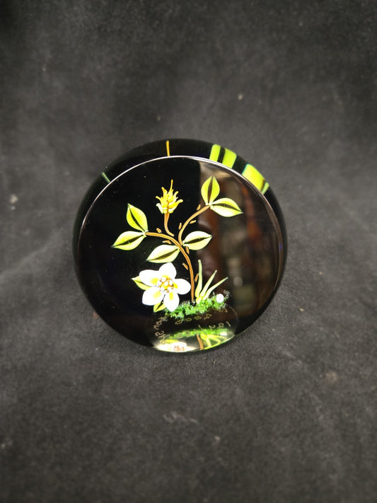 William Manson Hellebore Flower Paperweight